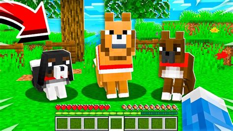 14 Cute Dogs Minecraft Should Add Youtube