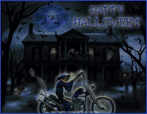 Pin By Lorri Talys On Harley Halloween Biker Halloween Fall