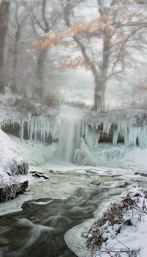Winter Photography Tips ~ Stunning Nature