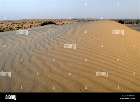 Sand Dunes Thar Desert Jaisalmer Rajasthan India Stock Photo Alamy