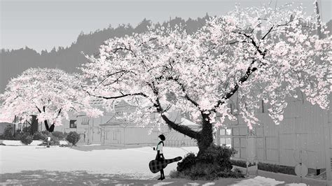 We hope you enjoy our growing. Anime Cherry Blossom Wallpaper (72+ images)