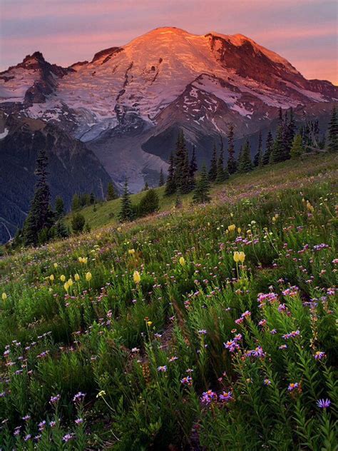 By Rick Lundh Beautiful Places Mount Rainier Nature Photos