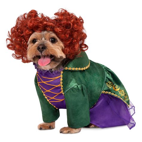 The Best Halloween Costumes For Dogs In 2022