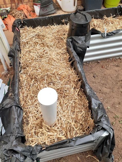 Our challenge with this design was to build tree planters that could move around to make space when needed, while providing shade, beauty, pollination and food. How to build a wicking bed | Bunnings Workshop Community