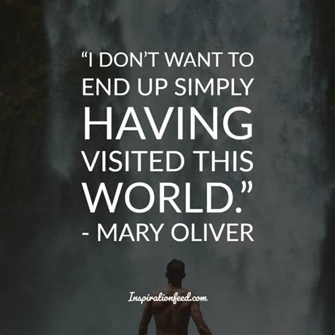 30 Beautiful Mary Oliver Quotes About Life Love And Despair