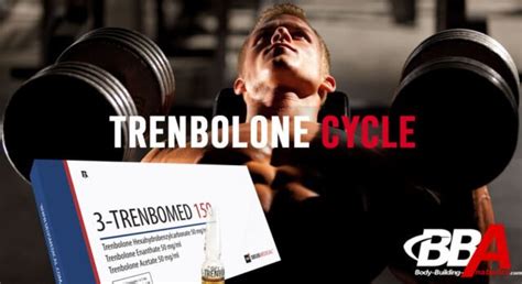 Trenbolone Le Guide Complet Sur Le Cycle De Trenbolone Body Building