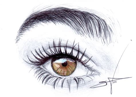 Imagenes De Dibujos De Ojos Ilustracion De Un Ojo Dibujo Carboncillo