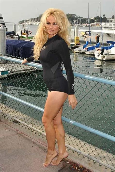 The Hottest Pamela Anderson Bikini Pictures Viraluck