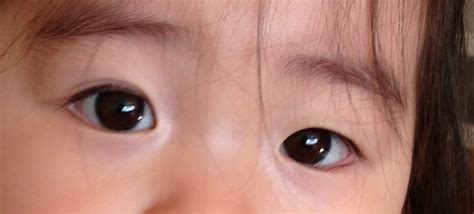 Limited time sale easy return. C-Bao & Co.: Eyelid Flip