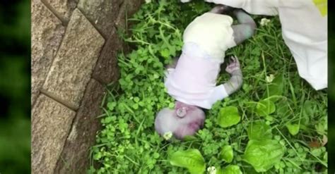 Dead Baby Found Near Park Turns Out To Be Realistic Doll Huffpost