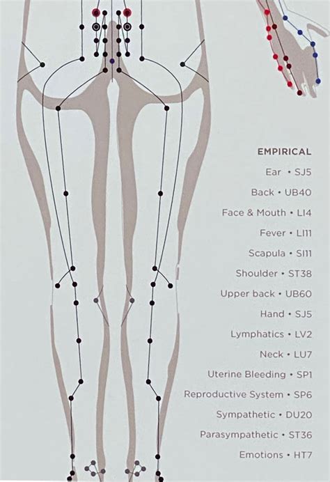 Acupuncture Meridian Channel Print 17 X 22 Etsy