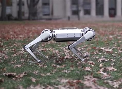 Le mini robot Cheetah du MIT sait faire un saut périlleux arrière