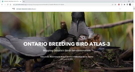 Ontario Breeding Bird Atlas On Twitter 22 A Storymap Remind