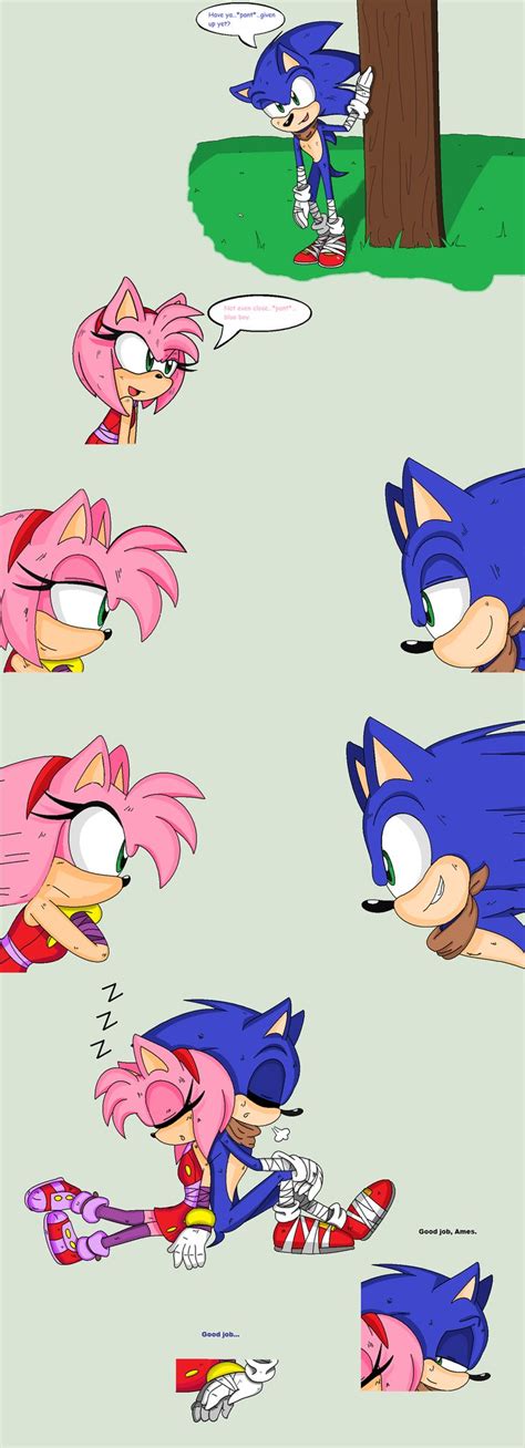Training By Sherryblossom On Deviantart Sonic Funny Sonic Sonic And Amy
