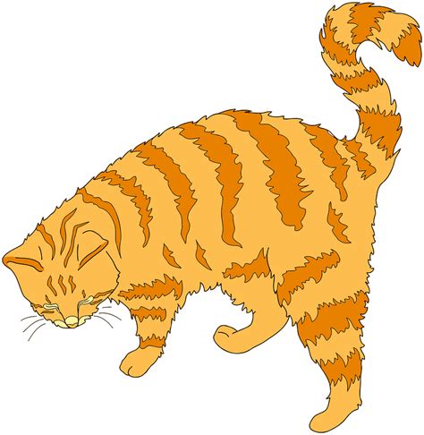 Simple And Adorable Orange Tabby Cat Sitting In Side View Outlined Clip Art Library