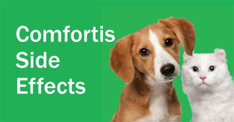 It was launched in 2011 and is effective at both killing and repelling these if you want to learn more about this flea preventative, check out our comprehensive seresto review! Comfortis Side Effects