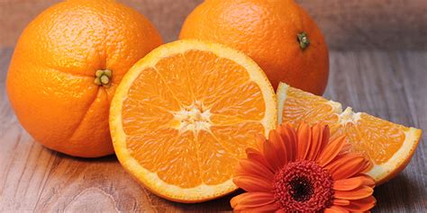 Oranger Citrus Sinensis Ses Oranges Pour Noël Plantation Culture