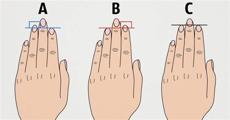 What Does The Length Of Your Fingers Reveal About Your Personality