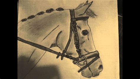 Paarden tekenen, is dat moeilijk of makkelijk? paarden tekeningen - YouTube