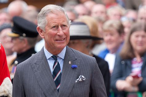 When asked in the documentary if he had been faithful and honorable during his marriage to diana, he responded, yes, yes…until it became irretrievably broken down, us both having tried, per the new york times. Prince Charles, Other Royals REFUSE to Shake Hands Amidst ...