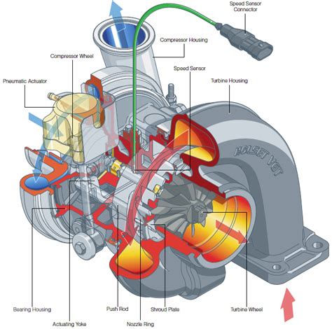 Turbo Anatomy