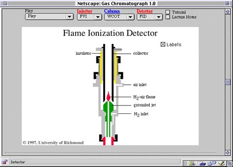 Flame Ionization Detector Hot Sex Picture