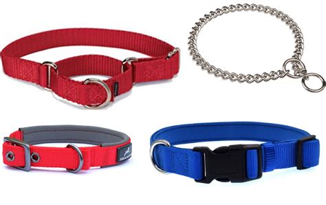 Different Types Of Dog Collar My Best Friend Dog Care