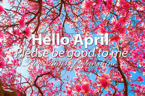 Hello April Please Be Good To Me Pictures Photos And Images For