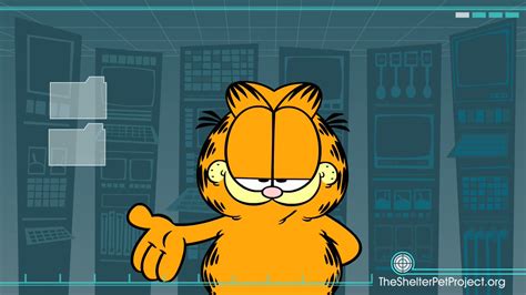 🔞jenny The Smug Cato 🔞 On Twitter Rt Cartoonswtf Garfield Moving His Mouth While He Talks