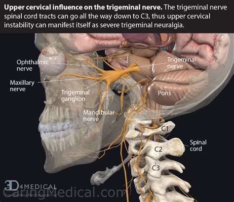 Non Surgical Treatment For Trigeminal Neuralgia Research