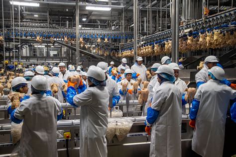 More Than 4900 Workers In Us Meat And Poultry Facilities Have Covid 19