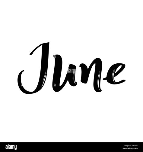 Handwritten Calligraphic Word June Month Name Stock Vector Image And Art