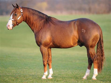 The service at top gun was very efficient and friendly, and the product is great. GUNNATRASHYA - SEREQUINE