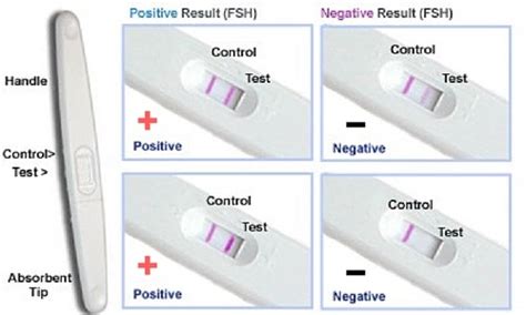 When To Take A Home Pregnancy Test Gomama 247