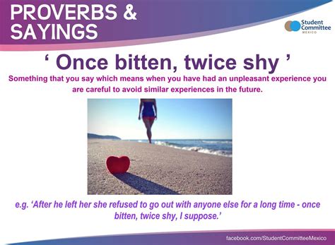 Once bitten, twice shy is an interesting idiom that first appeared in the 1800s. ' Once bitten, twice shy ' PROVERBS & SAYINGS | Idioms ...