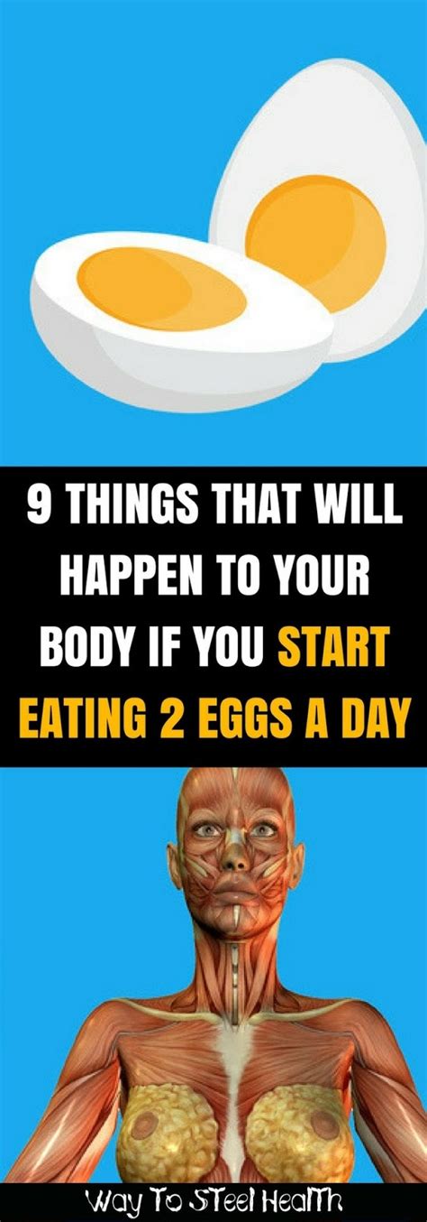 Things That Will Happen To Your Body If You Start Eating Eggs A Day HEALTH ROOTS