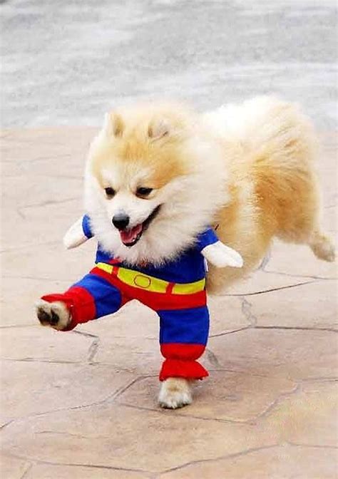 Super Pom To The Rescue I Dont Normally Repin Things Like This But