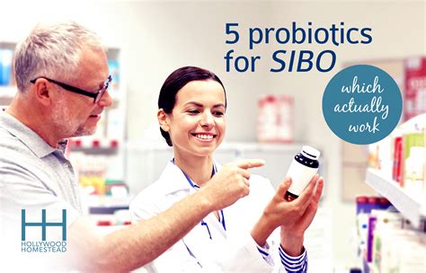 5 Probiotics For Sibo Which Actually Work Hollywood Homestead