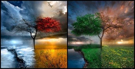 Landscape Trees Water Clouds Seasons Four Seasons Wallpapers Hd