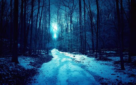 Forest blue winter dark spooky road wallpaper | 2880x1800 | 632669 ...