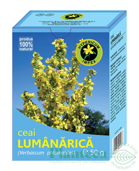 Ceai Lumanarica G Hypericum Plant Pret Lei Planteea
