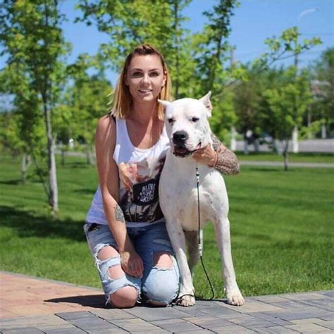 Labradors and friends wants to rescue beetle from the downey shelter.but we need a foster!! Pin by Vik Klupsas on Rotties, Dobes, Shepherds, Labs and ...