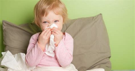 El Resfriado En Niños Pequeños ¿hay Medicamentos Para Curarlo Bekia