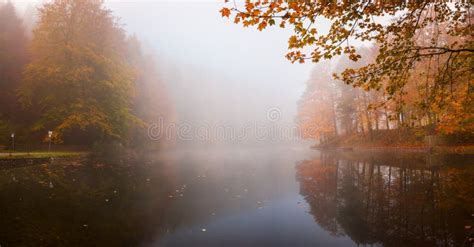 Autumn Landscape With Fog Over Lake Stock Photo Image Of High Nature
