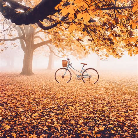 Photographer Kristina Makeeva Captures Beautiful Photos Of How Autumn