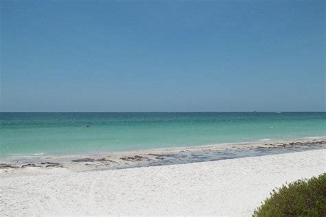 juno beach is one of the very best things to do in palm beach west palm beach