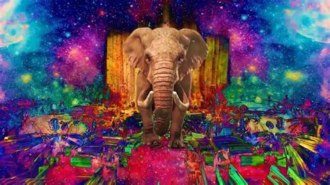 Psychedelic Safari Summer Chill Out Mind Chill Music And Art Youtube