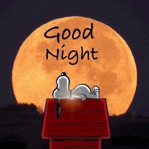 Good Night Snoopy Wishes Pictures Photos And Images For Facebook