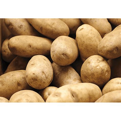 Russet Potatoes Produce Quality Foods