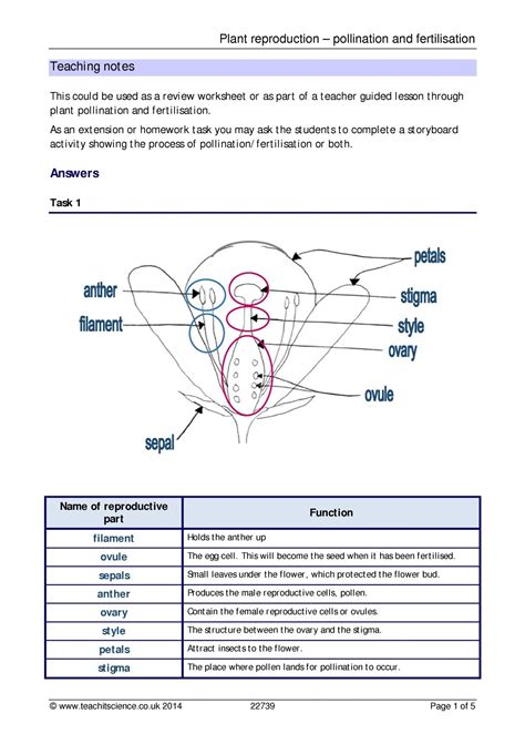 Free Printable Worksheets On Plant Reproduction
